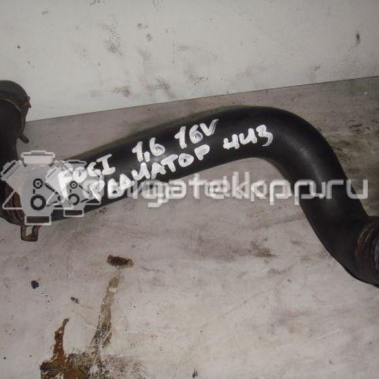 Фото Патрубок радиатора  98AB8B273EF для Ford Focus