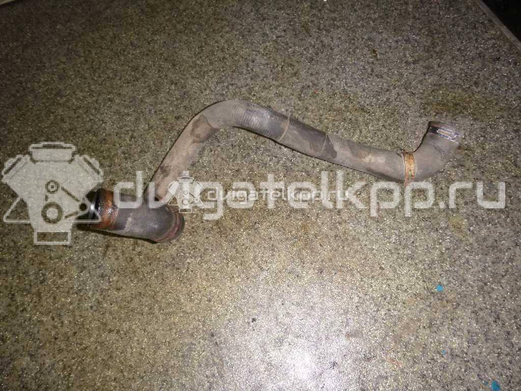 Фото Патрубок радиатора  98AB8B274AG для Ford Focus {forloop.counter}}