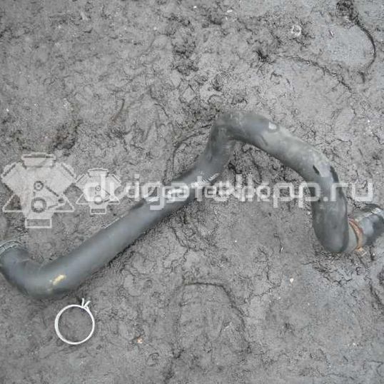Фото Патрубок радиатора  98AB8B274AJ для Ford Focus
