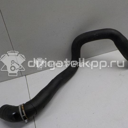 Фото Патрубок радиатора  98AB8B274AJ для Ford Focus