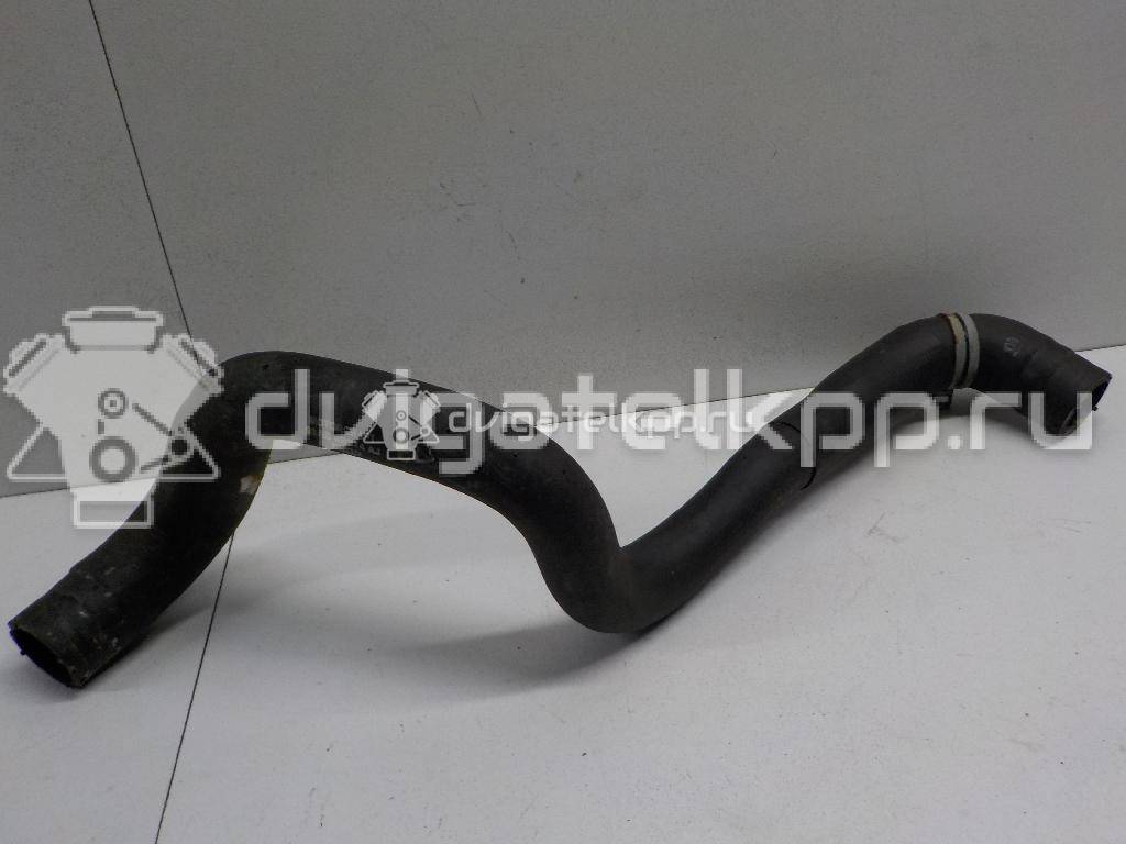 Фото Патрубок радиатора  98AB8B274AJ для Ford Focus {forloop.counter}}