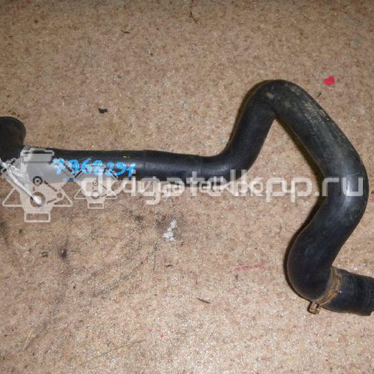 Фото Патрубок радиатора  98AB8B274AJ для Ford Focus