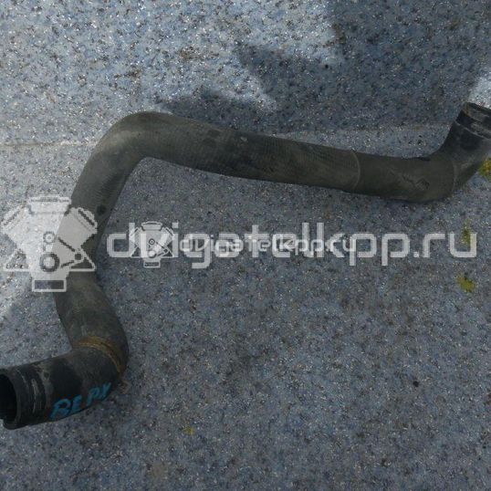 Фото Патрубок радиатора  1134581 для Ford Focus