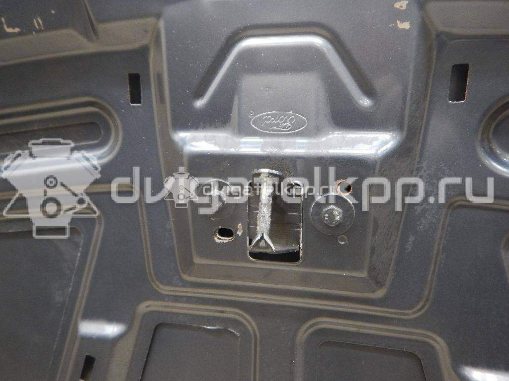 Фото Капот  1521601 для Ford Focus {forloop.counter}}