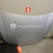 Фото Капот  1521601 для Ford Focus {forloop.counter}}