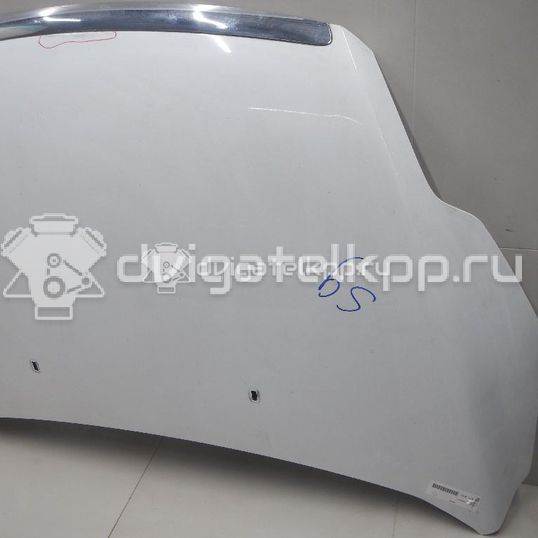 Фото Капот  1521601 для Ford Focus