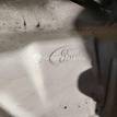 Фото Капот  1521601 для Ford Focus {forloop.counter}}