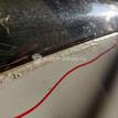 Фото Капот  1521601 для Ford Focus {forloop.counter}}