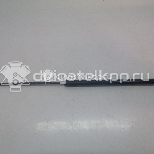 Фото Амортизатор двери багажника  BM51A406A10AE для Ford Focus