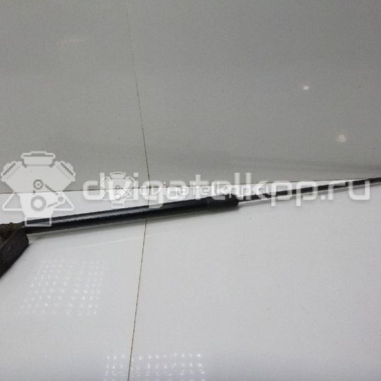 Фото Амортизатор двери багажника  BM51A406A10AE для Ford Focus