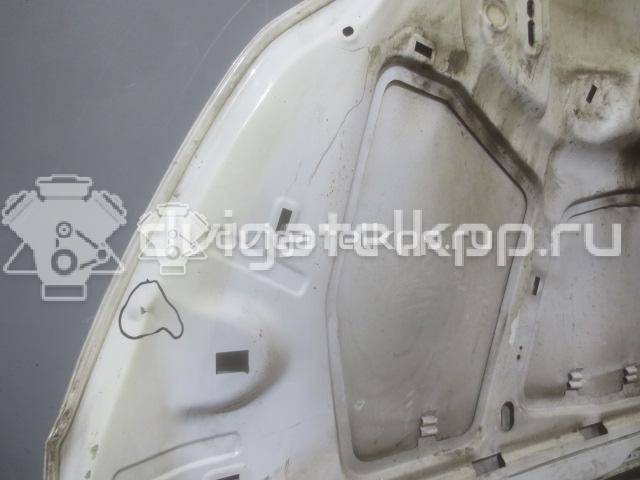 Фото Капот  1797477 для Ford Focus {forloop.counter}}