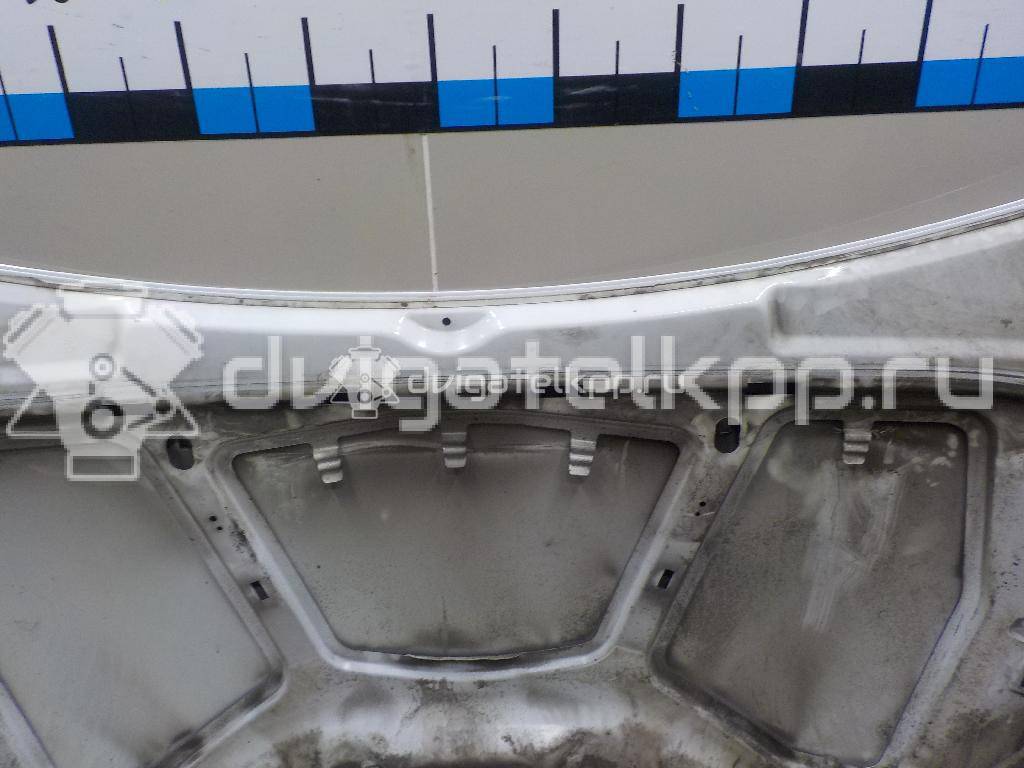 Фото Капот  1797477 для Ford Focus {forloop.counter}}