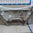 Фото Капот  1797477 для Ford Focus {forloop.counter}}