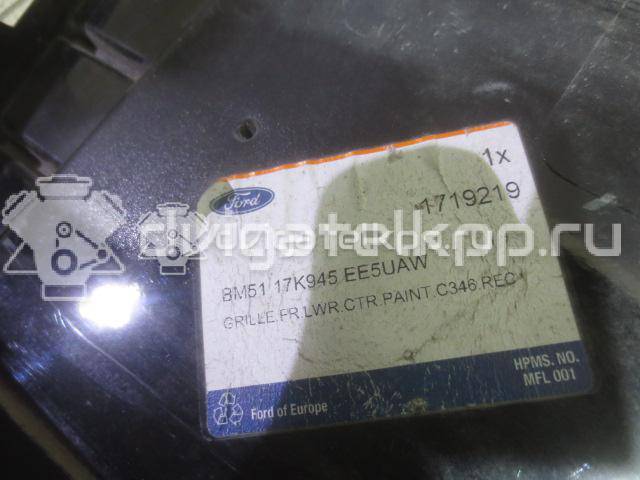 Фото Решетка в бампер центральная  1719219 для Ford Focus {forloop.counter}}