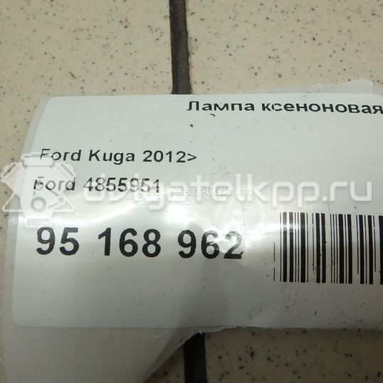 Фото Лампа ксеноновая  4855951 для Ford Focus / Kuga / C-Max / Grand