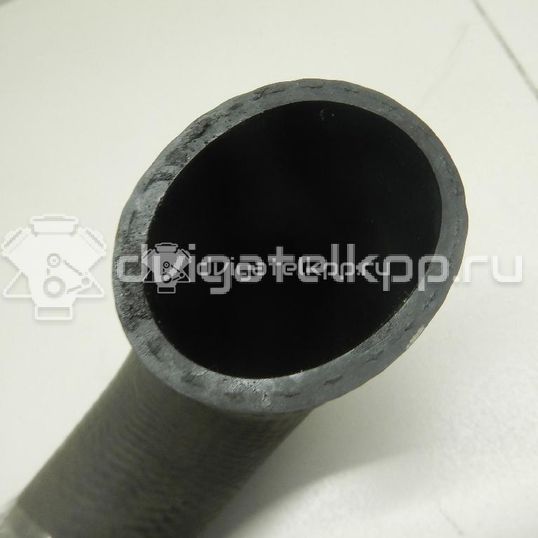 Фото Патрубок интеркулера для двигателя 4D56 (16V) для Mitsubishi Pajero / L 110-178 л.с 16V 2.5 л Дизельное топливо MN135007