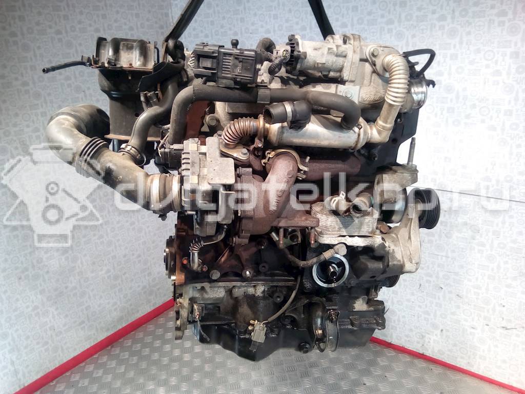 Фото Контрактный (б/у) двигатель KKDA для Ford Focus / C-Max 115 л.с 8V 1.8 л Дизельное топливо {forloop.counter}}