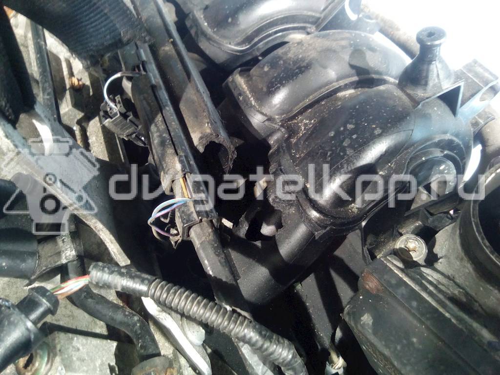 Фото Контрактный (б/у) двигатель BKY для Volkswagen Polo 75 л.с 16V 1.4 л бензин {forloop.counter}}