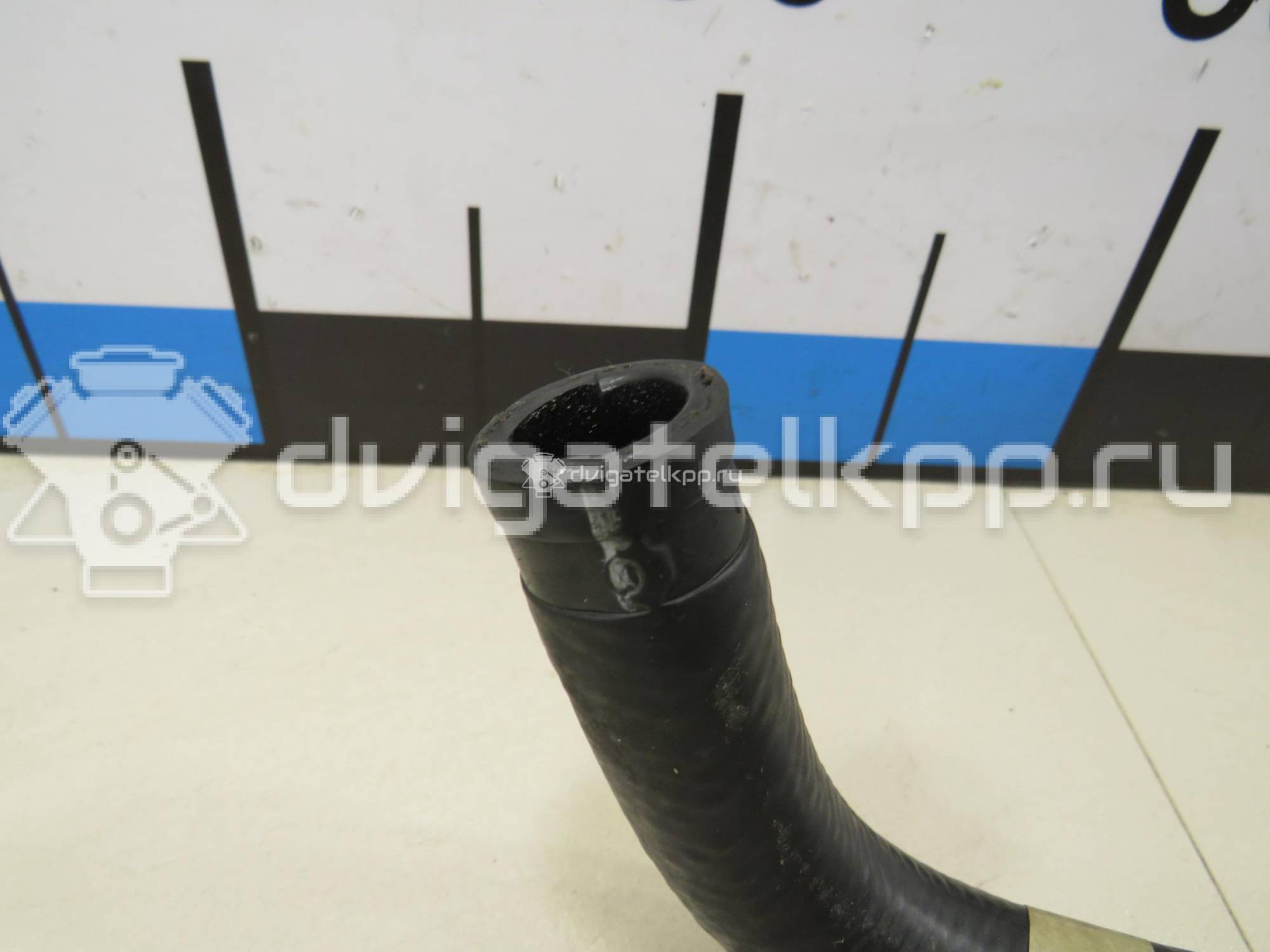Фото Патрубок  97kb3691ad для Ford Ka {forloop.counter}}