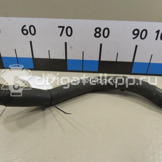 Фото Патрубок радиатора  1043768 для Ford Ka