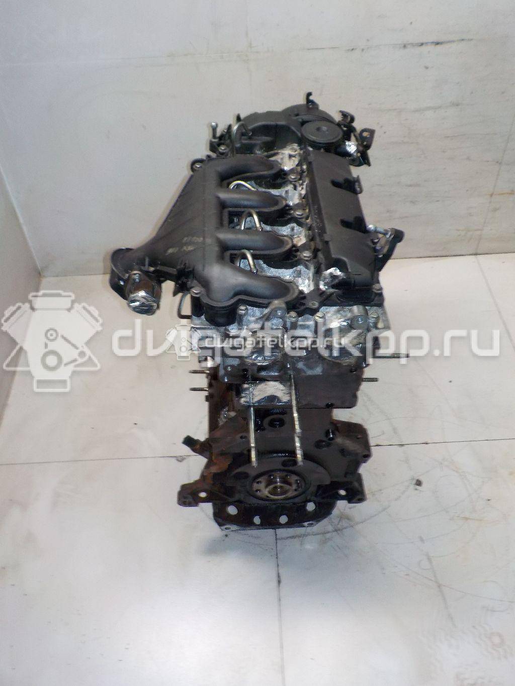 Фото Контрактный (б/у) двигатель G6DG для Ford / Hyundai / Kia 136 л.с 16V 2.0 л Дизельное топливо 1343078 {forloop.counter}}