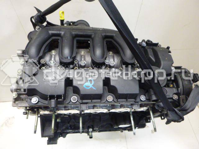 Фото Контрактный (б/у) двигатель G6DG для Ford / Hyundai / Kia 136 л.с 16V 2.0 л Дизельное топливо 0135QG {forloop.counter}}
