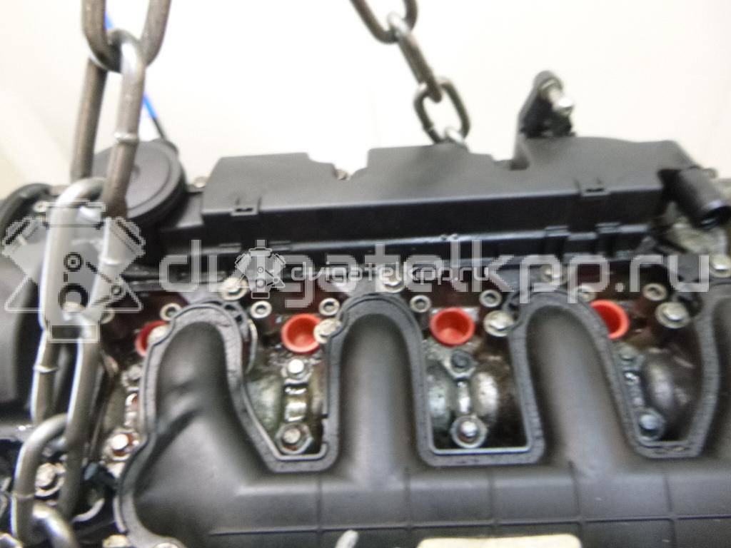 Фото Контрактный (б/у) двигатель G6DG для Ford / Hyundai / Kia 136 л.с 16V 2.0 л Дизельное топливо 1343078 {forloop.counter}}