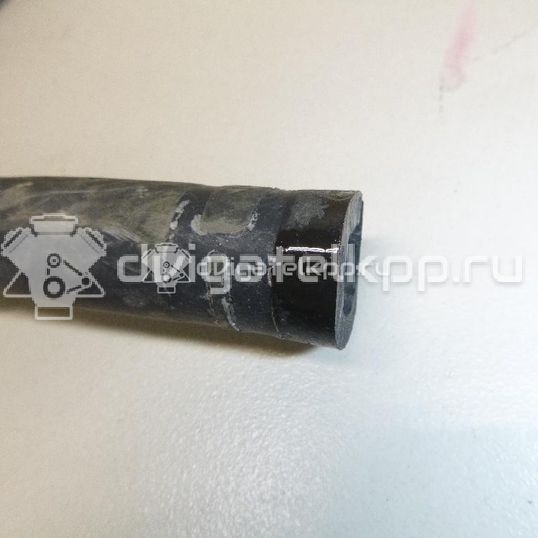 Фото Шланг системы охлаждения  1502373 для Ford Kuga