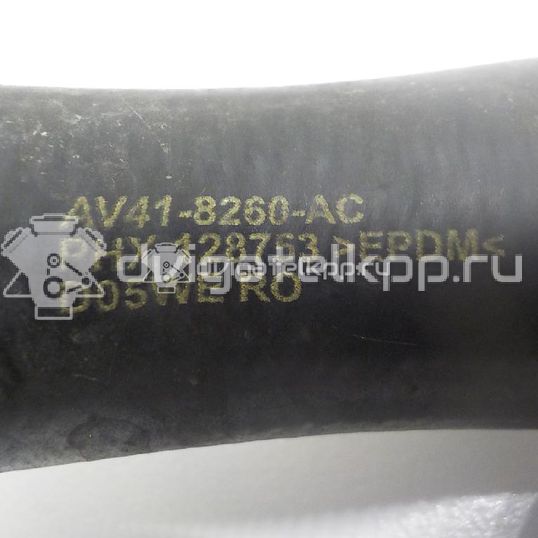 Фото Патрубок радиатора  1704156 для Ford Kuga