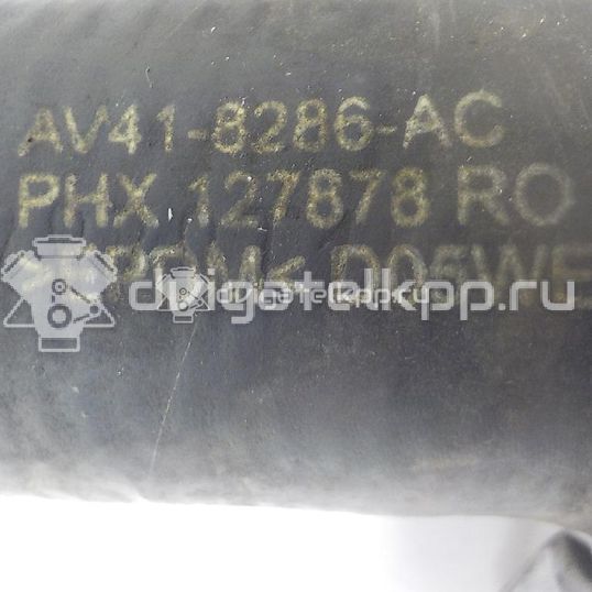 Фото Патрубок радиатора  1696646 для Ford Kuga