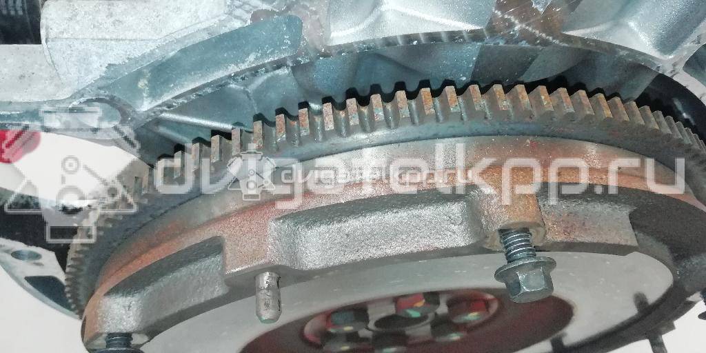 Фото Контрактный (б/у) двигатель IQDB для Ford Focus / C-Max / Grand 105 л.с 16V 1.6 л бензин 1752082 {forloop.counter}}