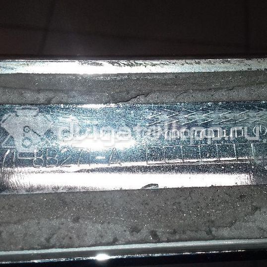 Фото Молдинг капота  1567845 для Ford Mondeo