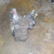 Фото Контрактная (б/у) МКПП для Honda Accord 147 л.с 16V 2.0 л F20B6 бензин 20011PDGJ40 {forloop.counter}}