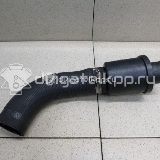 Фото Патрубок интеркулера  1440261 для Ford Transit