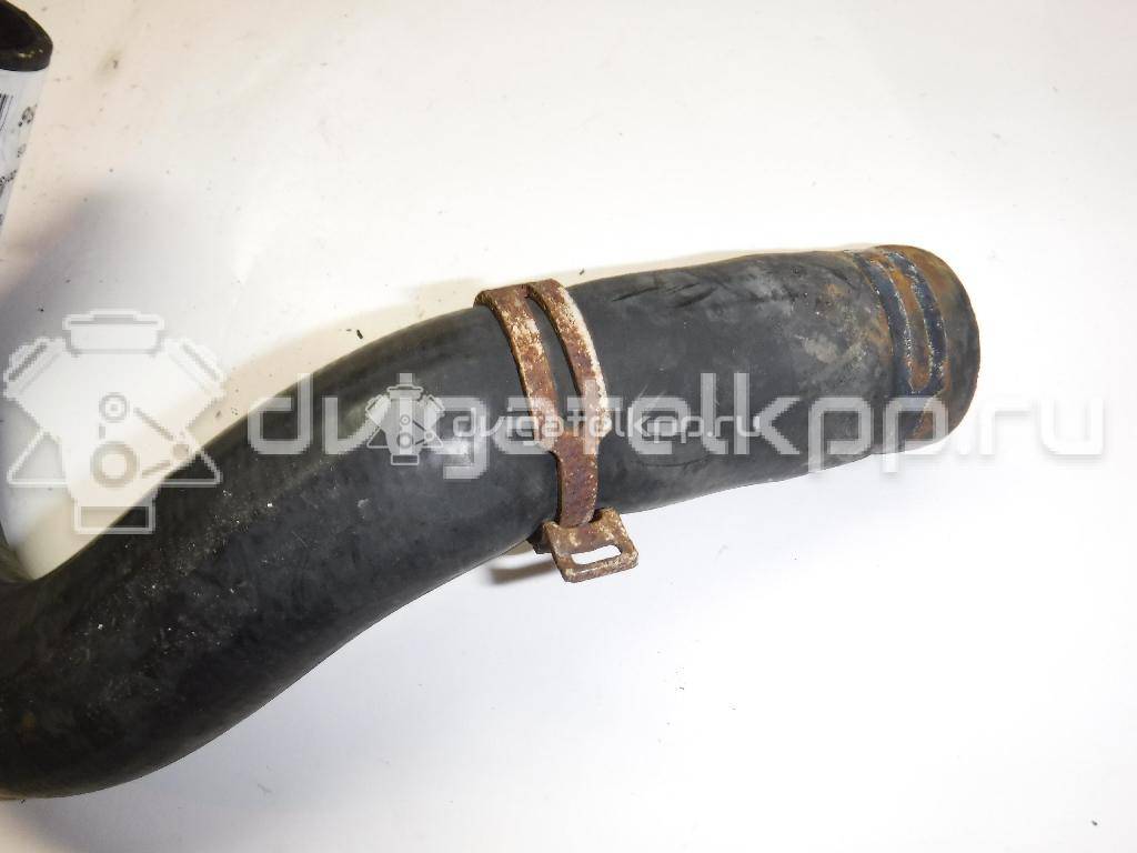 Фото Патрубок радиатора  6C118B274DB для Ford Transit {forloop.counter}}