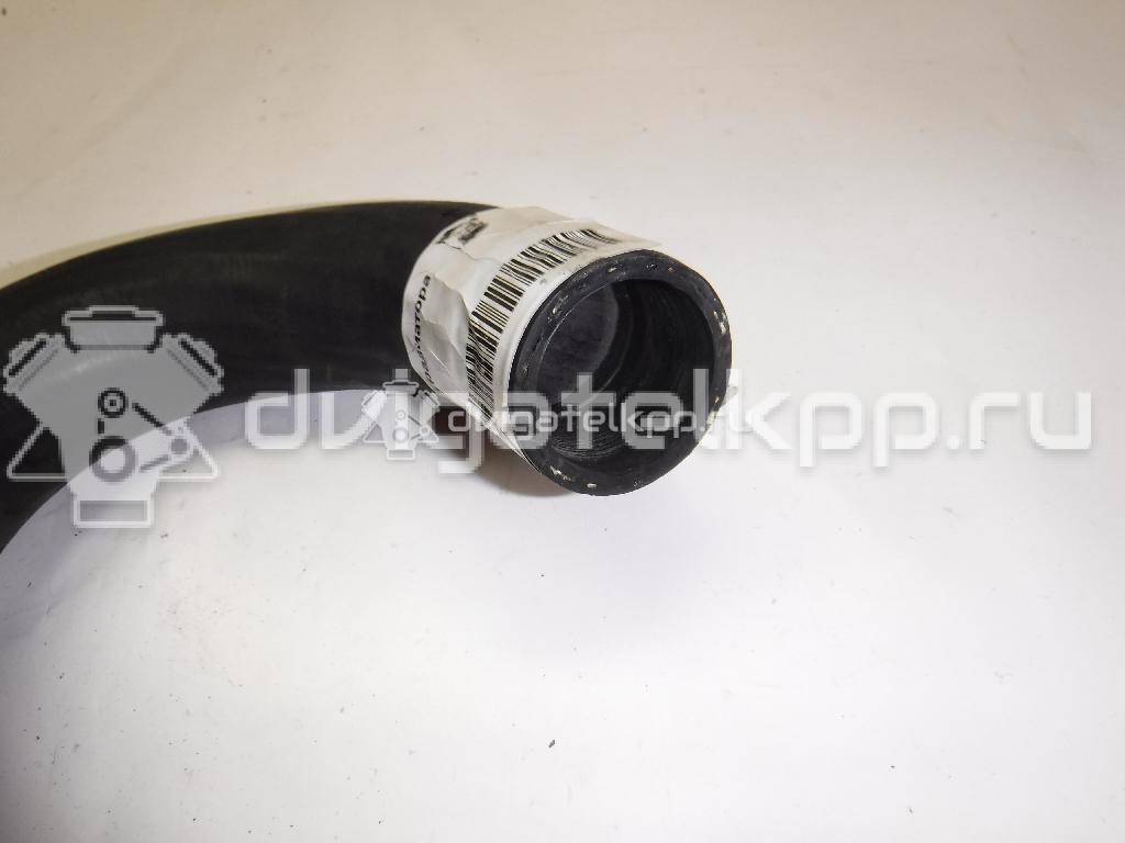 Фото Патрубок радиатора  6C118B274DB для Ford Transit {forloop.counter}}