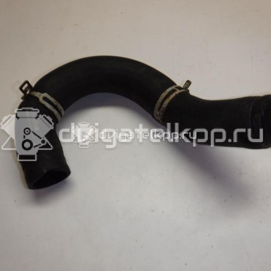Фото Патрубок радиатора  6C118B274DB для Ford Transit