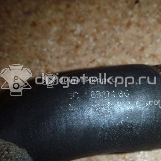 Фото Патрубок радиатора  1371293 для Ford Transit