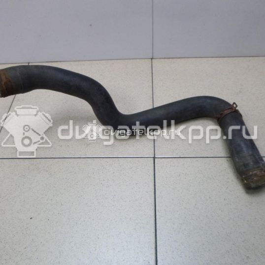 Фото Патрубок радиатора  1371293 для Ford Transit