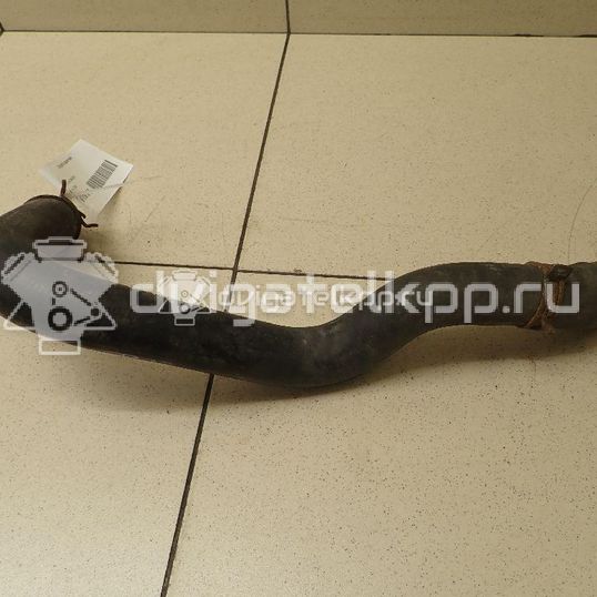 Фото Патрубок радиатора  1371293 для Ford Transit