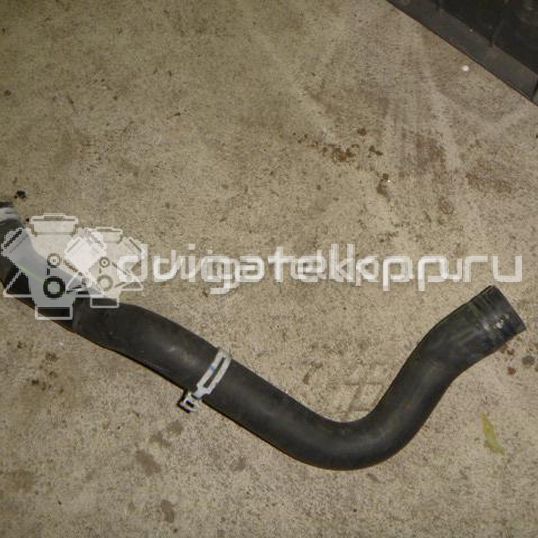 Фото Патрубок радиатора  1371293 для Ford Transit