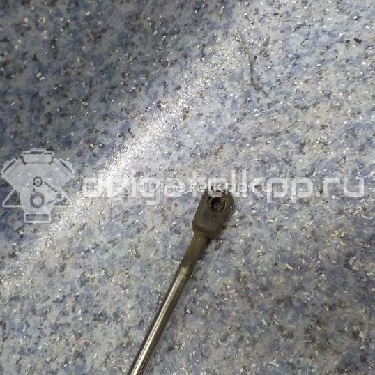 Фото Амортизатор двери багажника  2T14V406A10AB для Ford Tourneo / Transit