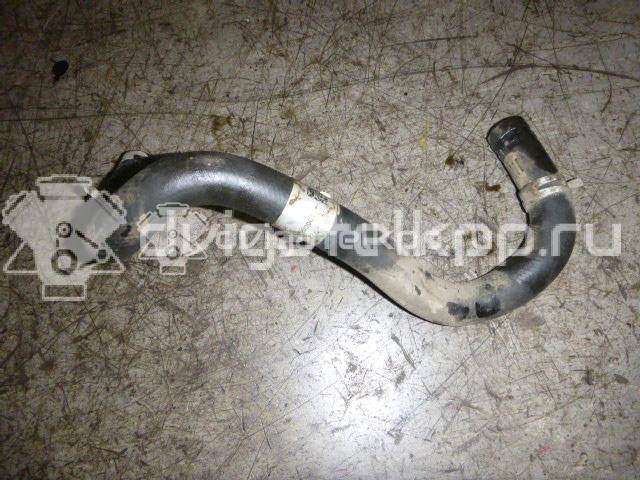 Фото Шланг гидроусилителя  2t143691ac для Ford Tourneo / Transit {forloop.counter}}