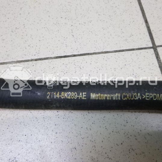 Фото Патрубок  2T148K289AE для Ford Tourneo / Transit