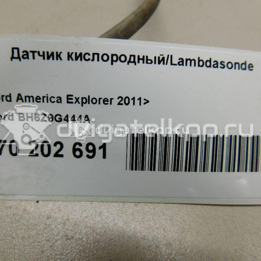 Фото Датчик кислородный/Lambdasonde  BH6Z9G444A для ford Explorer