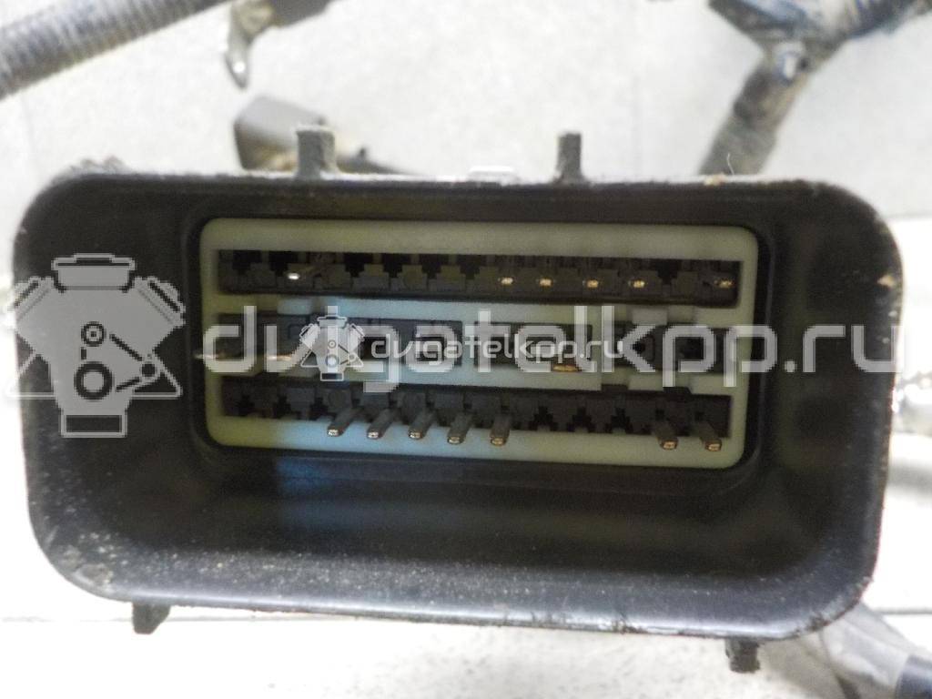 Фото Проводка (коса)  db5z14300a для ford america Explorer {forloop.counter}}