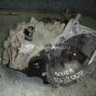 Фото Контрактная (б/у) МКПП для Hyundai / Kia 90-109 л.с 16V 1.4 л G4FA бензин {forloop.counter}}