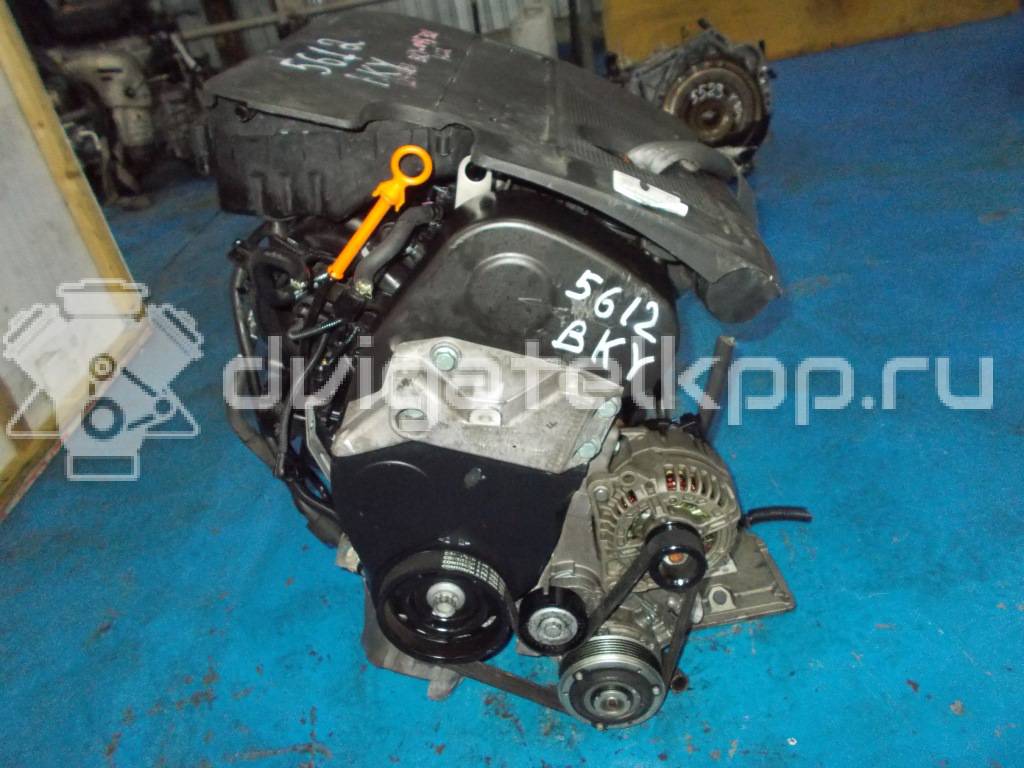 Фото Контрактный (б/у) двигатель BKY для Volkswagen Polo 75 л.с 16V 1.4 л бензин 036100037C {forloop.counter}}