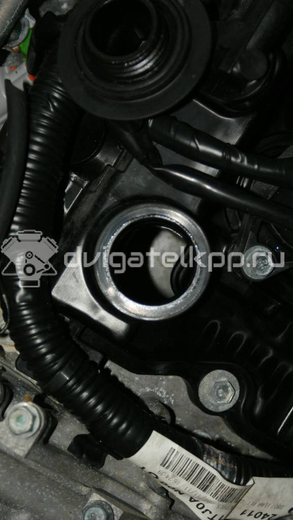 Фото Контрактный (б/у) двигатель VQ35DE для Infiniti / Mitsuoka / Isuzu / Nissan / Nissan (Dongfeng) 240 л.с 24V 3.5 л бензин 10102JA0K3 {forloop.counter}}