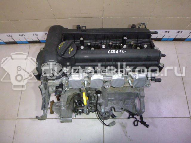 Фото Контрактный (б/у) двигатель G4FA для Kia Rio / Ceed / Pro Ceed 100-109 л.с 16V 1.4 л бензин Z61812BZ00 {forloop.counter}}
